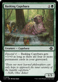 Basking Capybara (175) [The Lost Caverns of Ixalan]